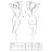 Lenza set Passion Exclusive