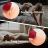 Womanizer na clitoris a prsní pradavky Flower vibrator Rose Shape