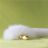 Zlatý FOX anální kovový kolík s bílým ocáskem, BDSM - 47 cm